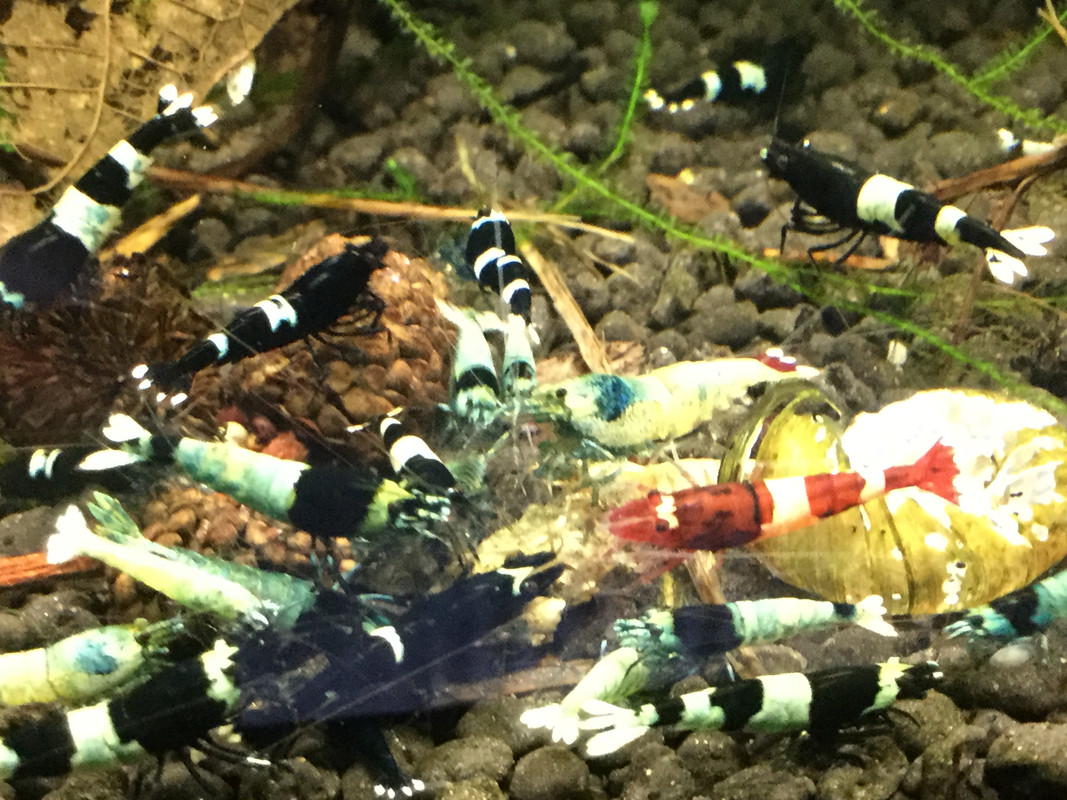 CC4A3752-689F-45B6-B0C5-E380E58F3014