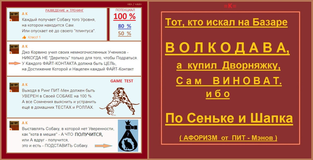 Собака Кот в Мешке текст