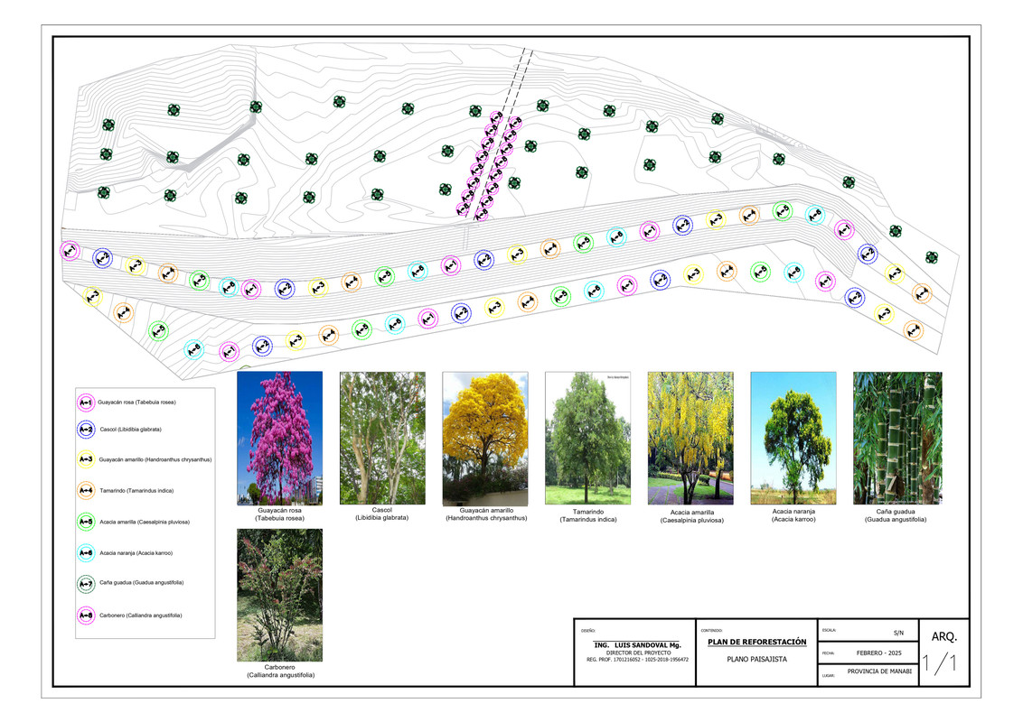 Proyecto Garden, paisajismo y jardinería (6)