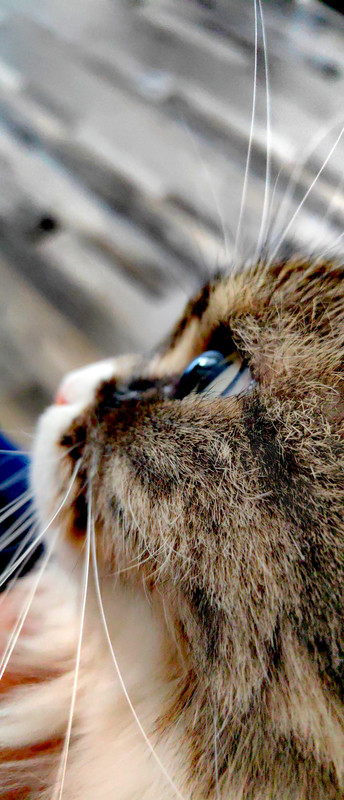 IMG_20250517_093757_edit_1171464761372391