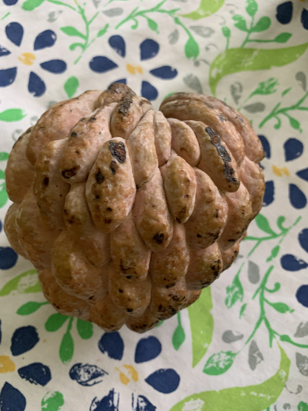 C70336F3-0C2F-4574-87D7-0EC99A6B2AC1