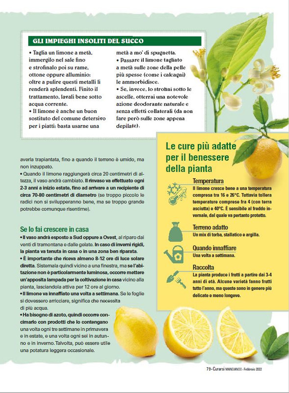 Cur Mang Feb 2022 (12)