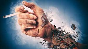 [Image: download.jpg]