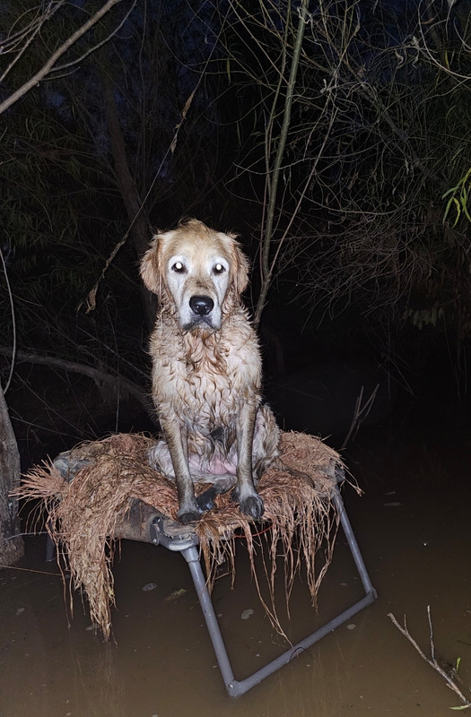 Screenshot 20251120 135917 Gallery