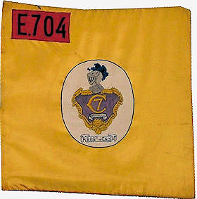 CCav704