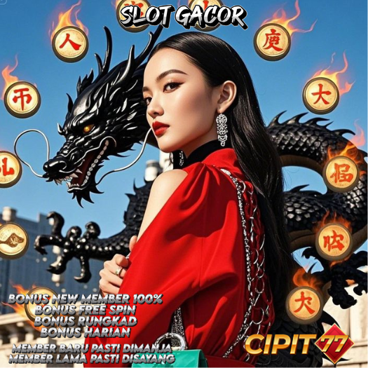 login Cipit77