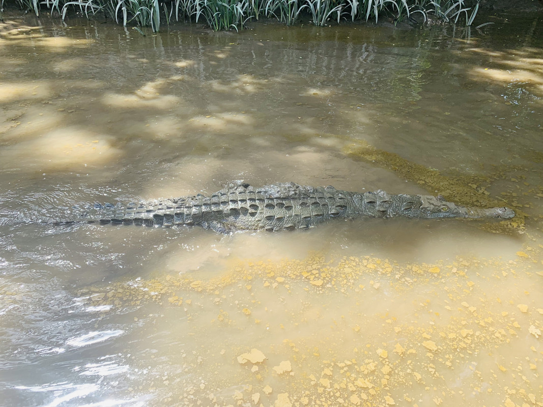 85ADB279-CFA4-41F7-B4B0-0F37DE15C69B