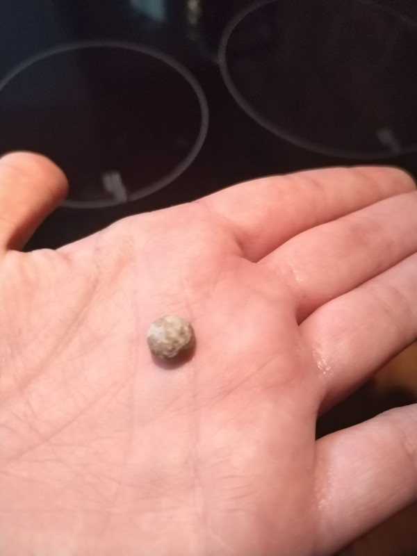 21159c37-9469-419a-9b9e-a02a444cd6df