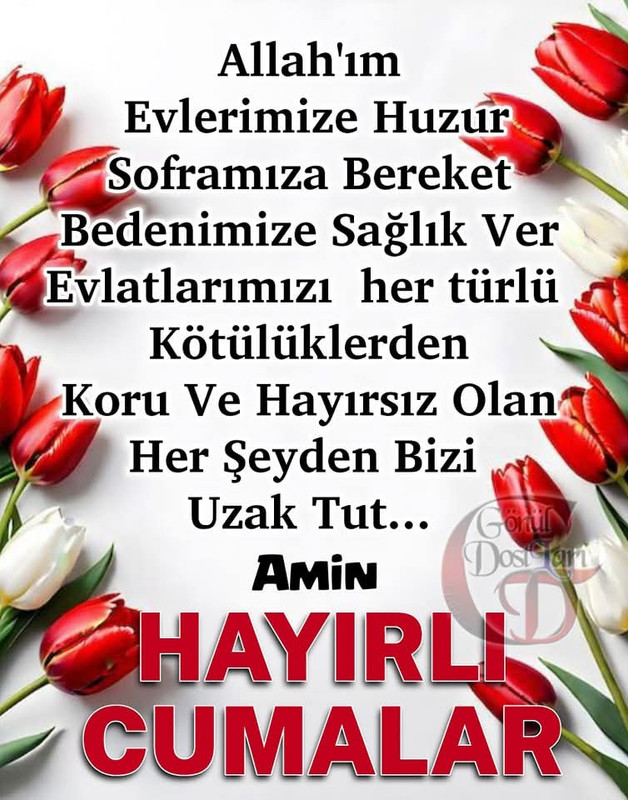 resim