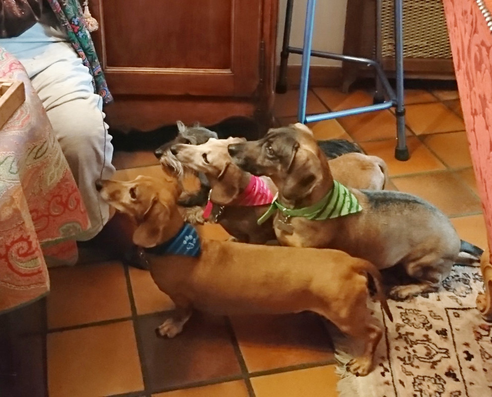 [Image: 20200624-164512.jpg]