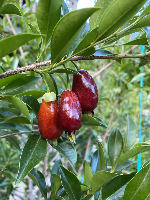 85ED1375-CF20-45D1-A7A5-44D6CF639FEA