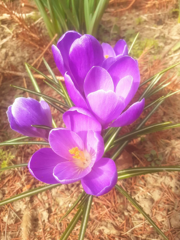 FB-IMG-1742280345724