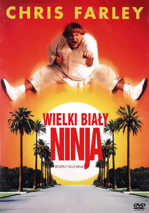 Wielki Biały Ninja / Beverly Hills Ninja (1997) PL.1080p.BDRip.x264.DD2.0-DReaM / Lektor PL