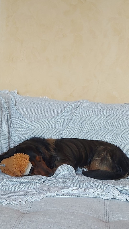 [Image: IMG-20230808-WA0007.jpg]