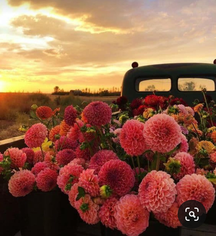 Screenshot_20240331_000123_Pinterest