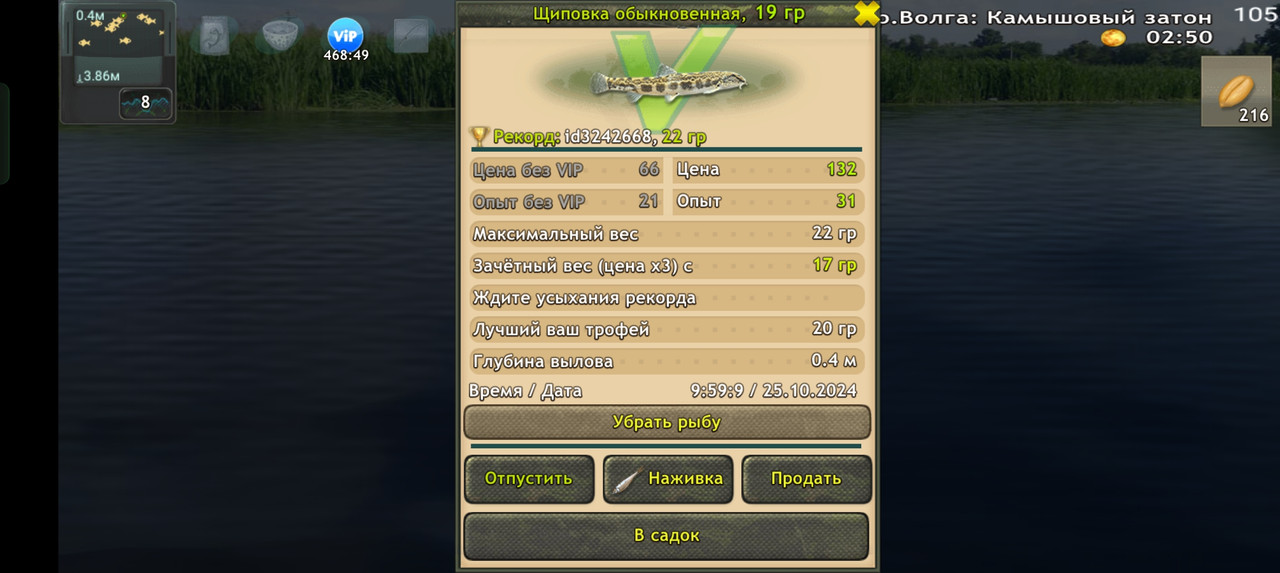 Screenshot-2024-10-25-09-59-13-76-fa28ee