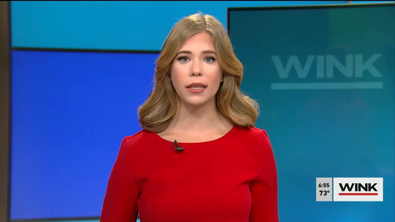 10.02 - 11.00.00 - WINK News @ 6 00am..ts_snapshot_56.20.182
