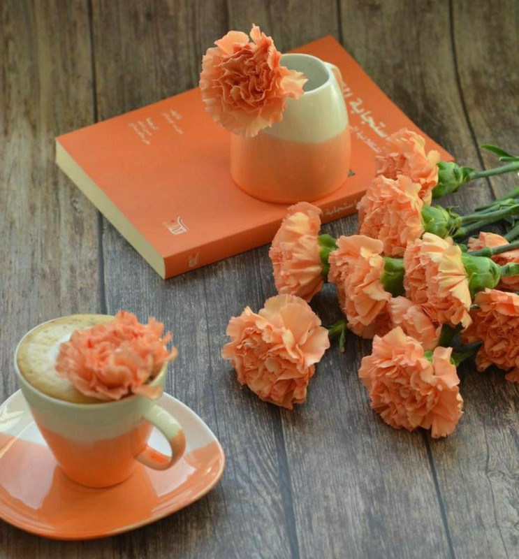 Screenshot_20230211_152242_Chrome