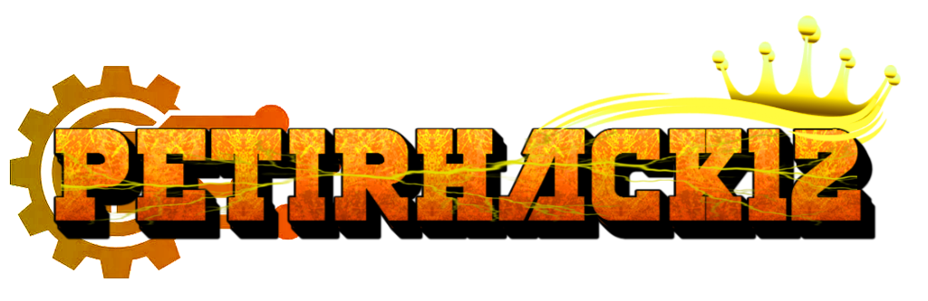 PETIRHACK12 8 9 2025