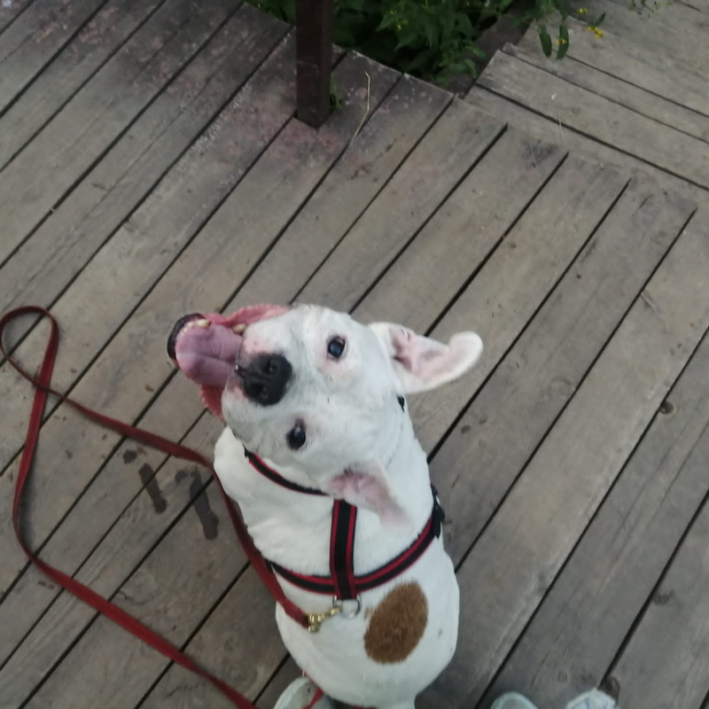 74F4DA53-761D-409A-8B9C-6A286BB1C722