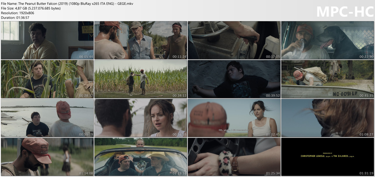 The Peanut Butter Falcon (2019) (1080p Blu Ray x265 ITA ENG) GEGE mkv thumbs