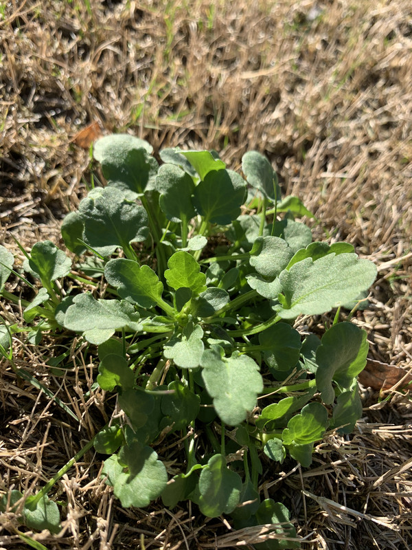 01DED24A-6BE2-4CB2-8D07-AFA1227D6257