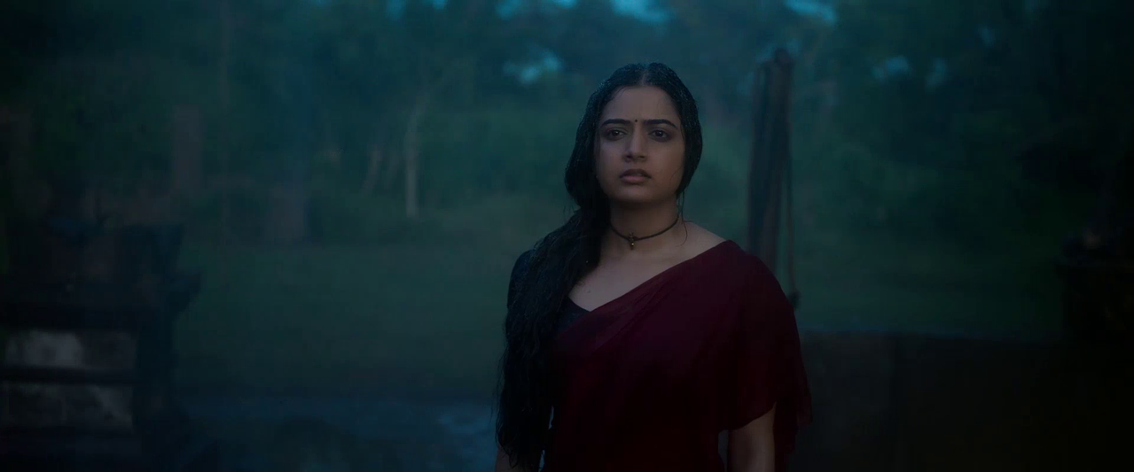 vlcsnap 2026 02 14 10h21m41s070