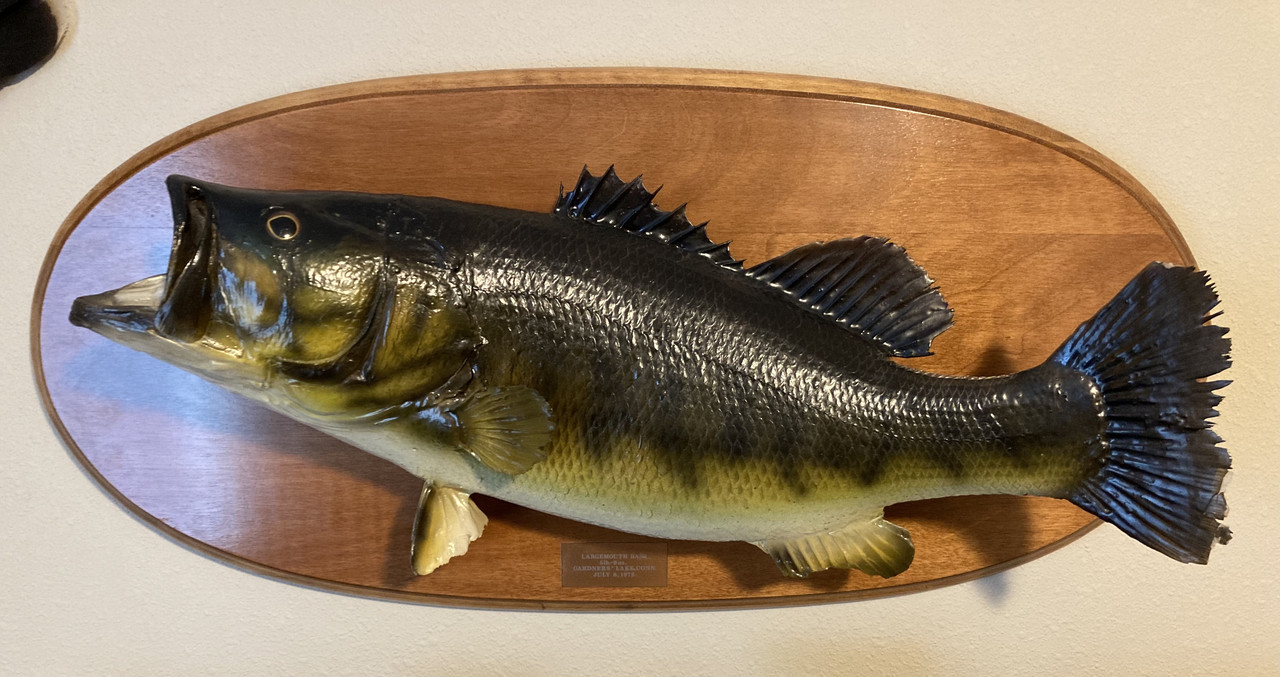 6015F9C3-30B3-43EE-8149-F96B79D3F0E8