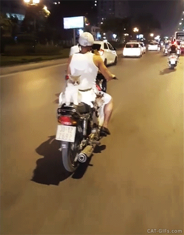 070ed53c4fbce365f055717c44eff4d6