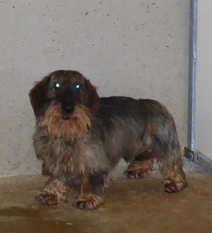 [Image: P1020959.jpg]