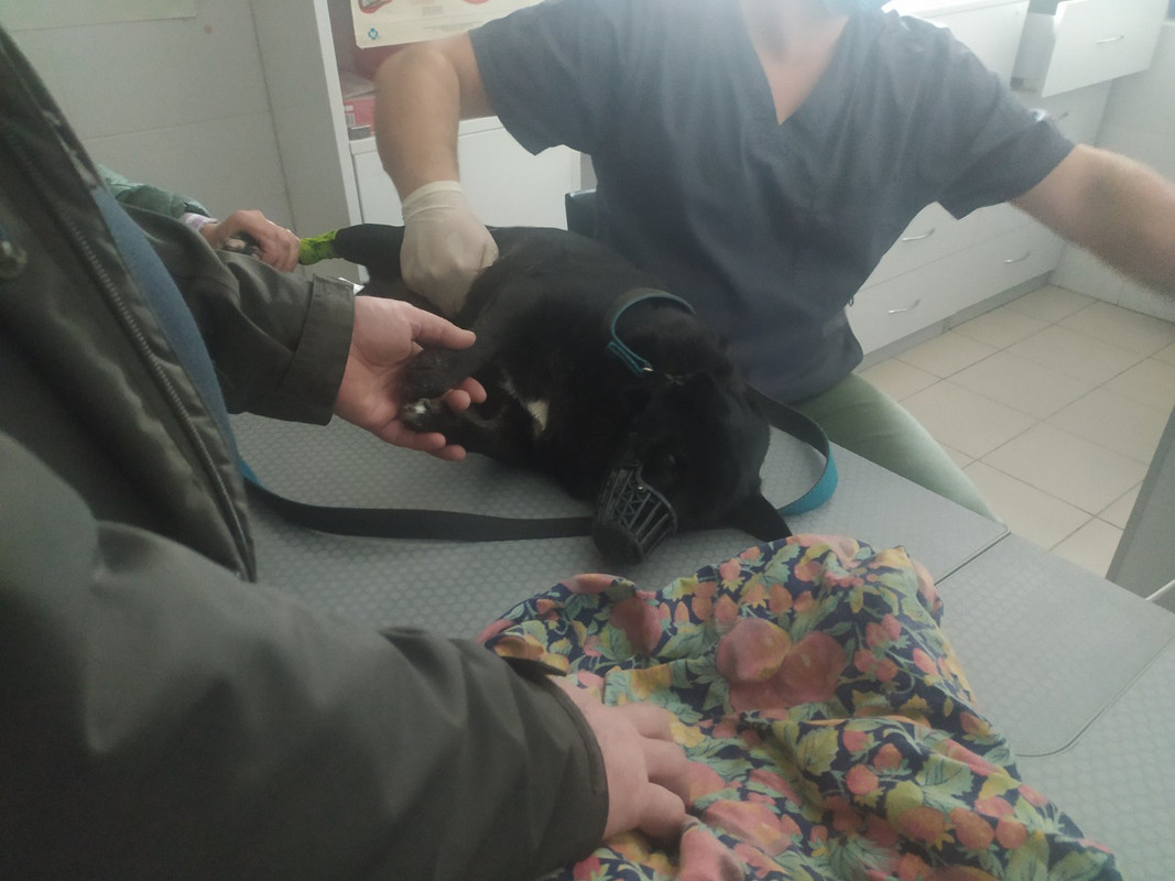 изображение_viber_2021-09-29_14-51-20-953