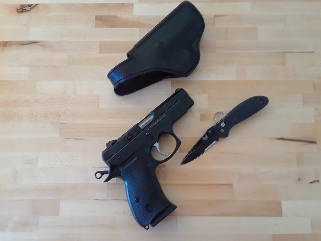 CZ75-PCR-Mini-grip.jpg