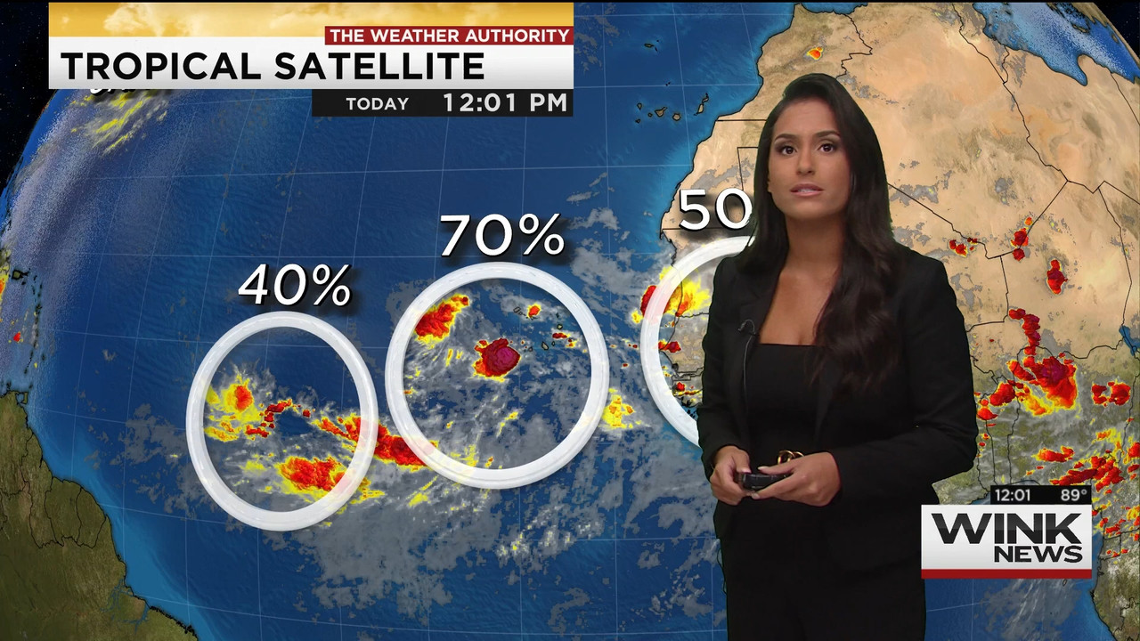09.04 - 17.00.00 - The WINK Noon News. News..ts_snapshot_07.39.240