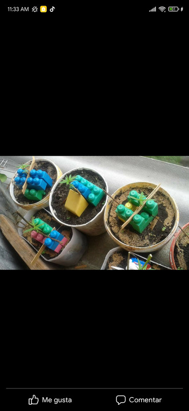 Screenshot_2022-12-06-11-33-21-768_com.facebook.katana