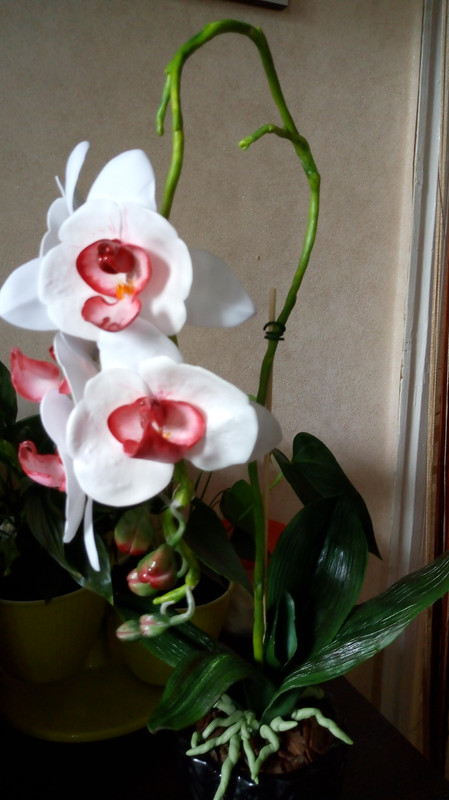 IMG_20180720_170733354