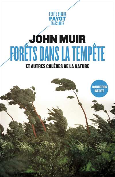 Forets-dans-la-tempete-John-Muir.jpg