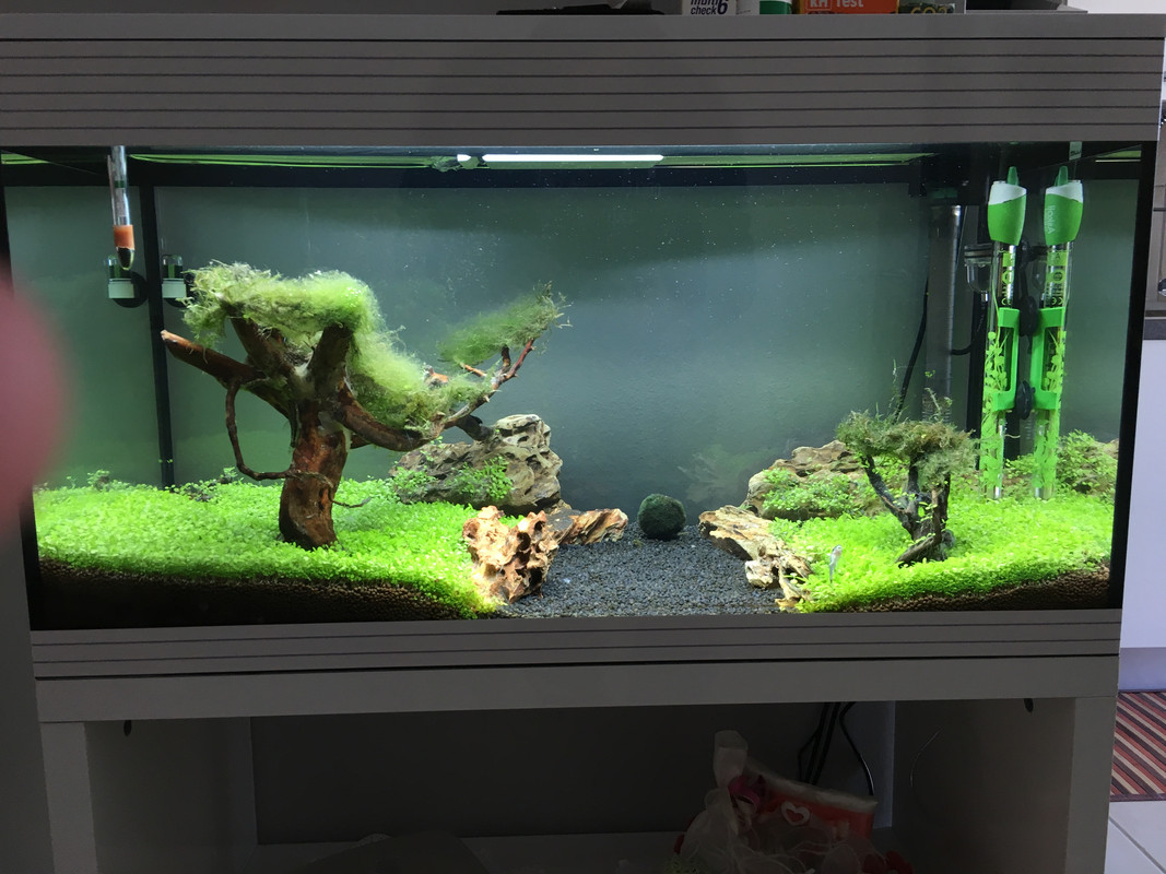 4C9151F0-4498-4DC1-9516-FC5A327DD753