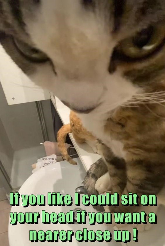 dont-have-to-ask-me-twice