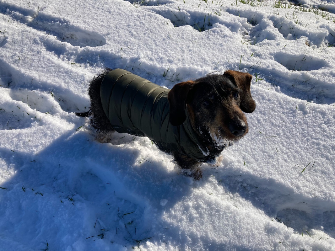 [Image: thumbnail-image0.jpg]