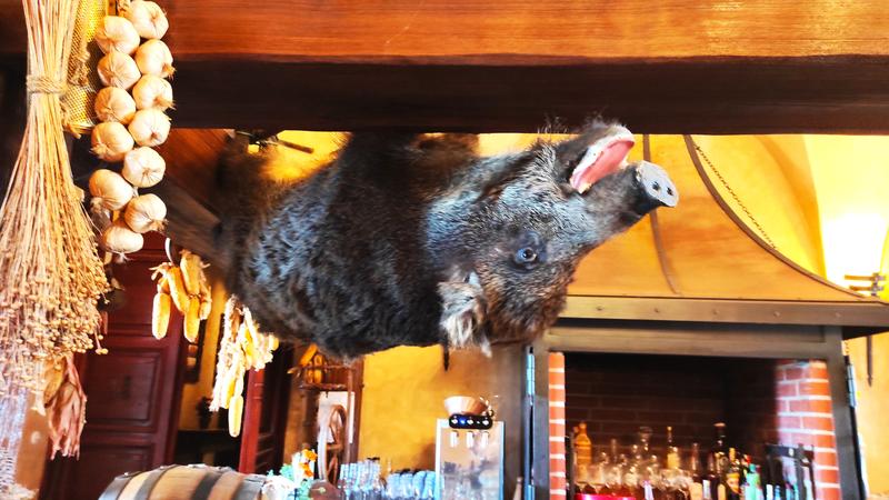 Castillo Zbiroh-21-9-2025 - República Checa y sus pueblos-2025 (29)