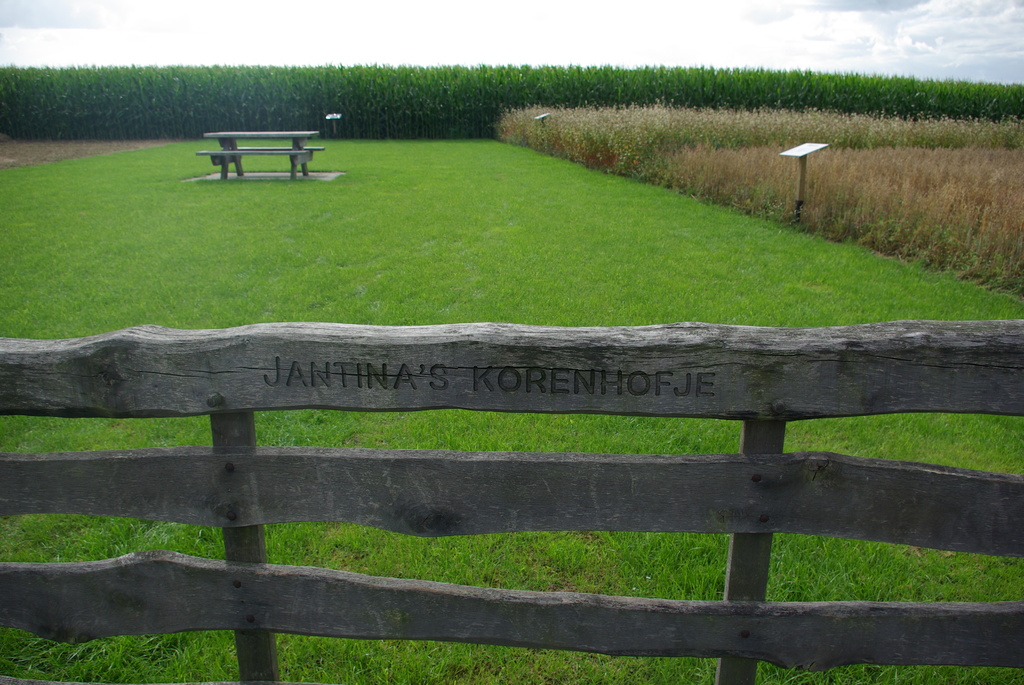 (02748) Jantina Hellingmolen - Aalden 13