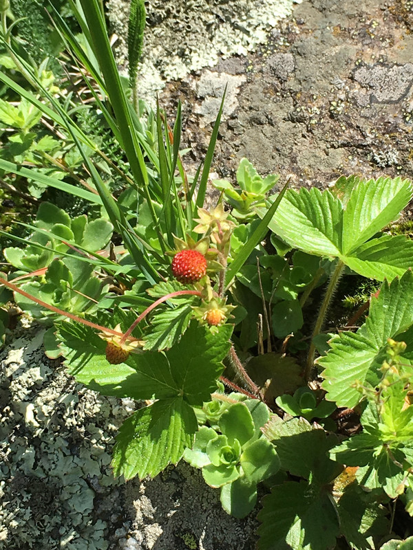 1AF7DEE5-B6D9-4C48-8196-BA059A538208