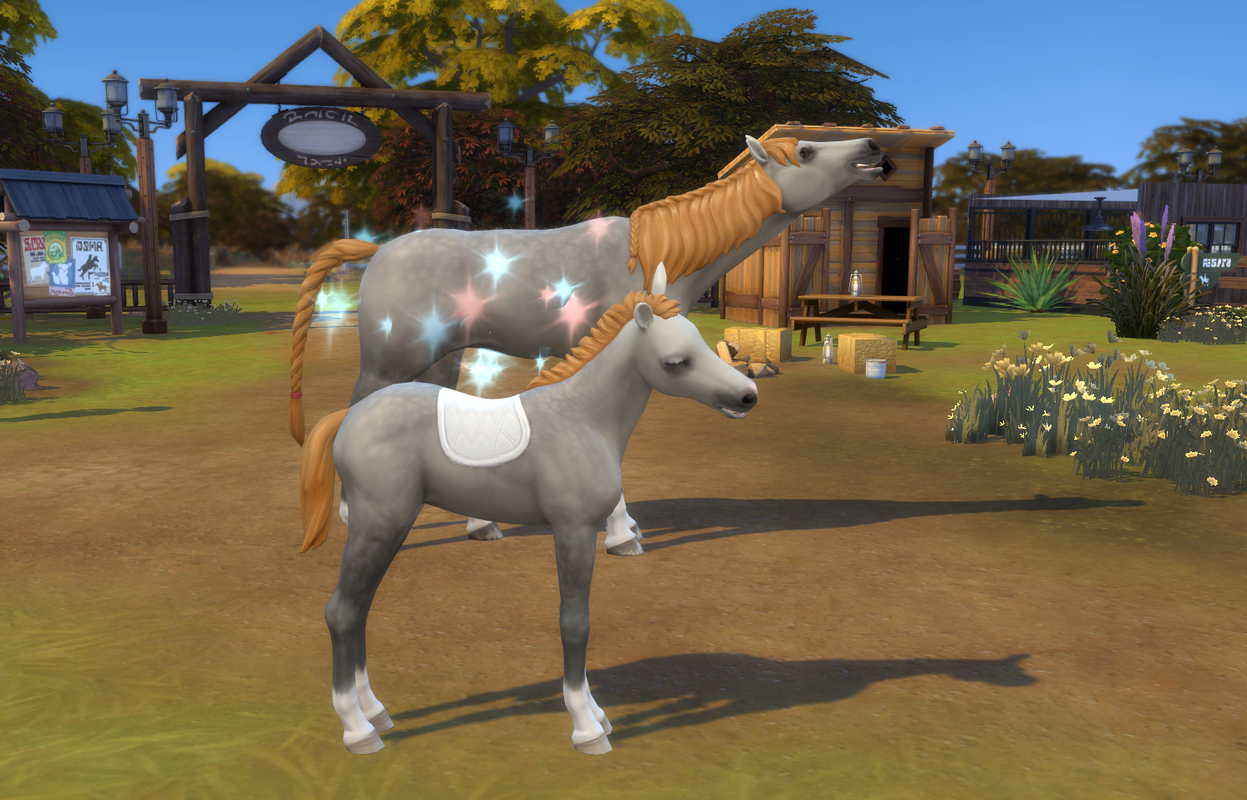 new-foal-number-4.png