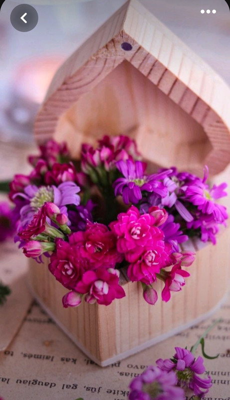 Screenshot_20230719_215723_Pinterest