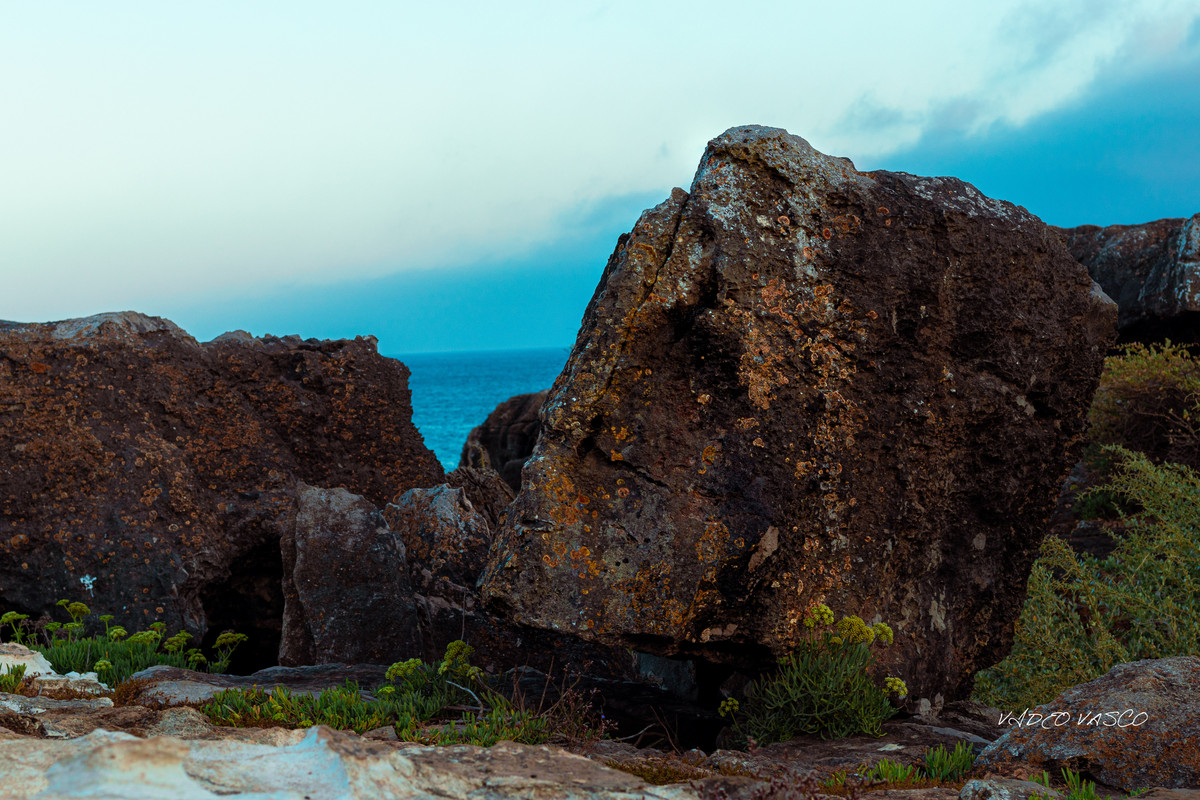 HIve-Boca-Inferno-1-12.jpg