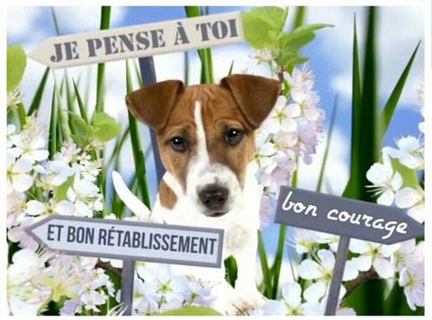 [Image: retablissement-13.jpg]