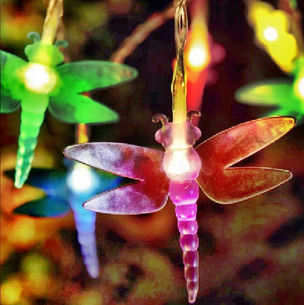 Solar String Light : 80144