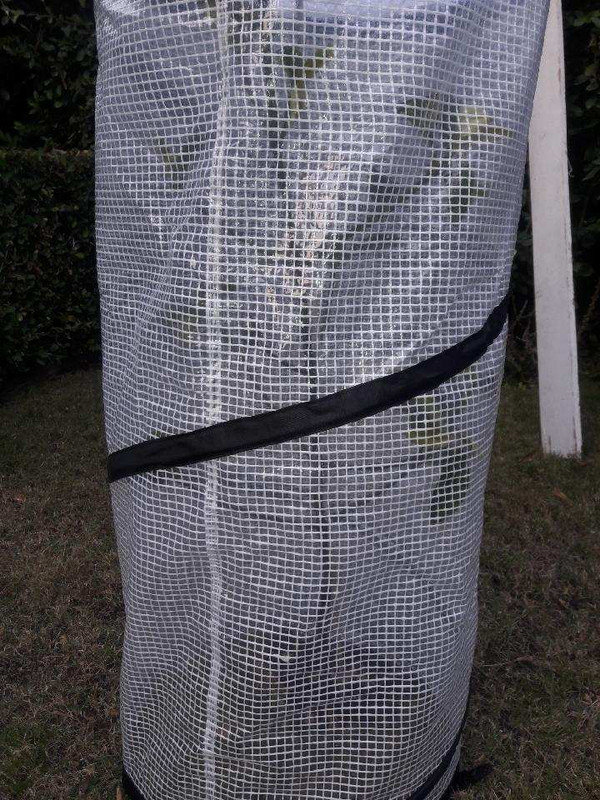 20181110_160952_1541895184258