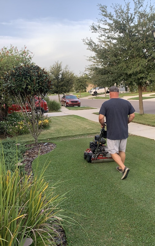 Reel Mowing St Augustine 0.386 Lawn Care Forum