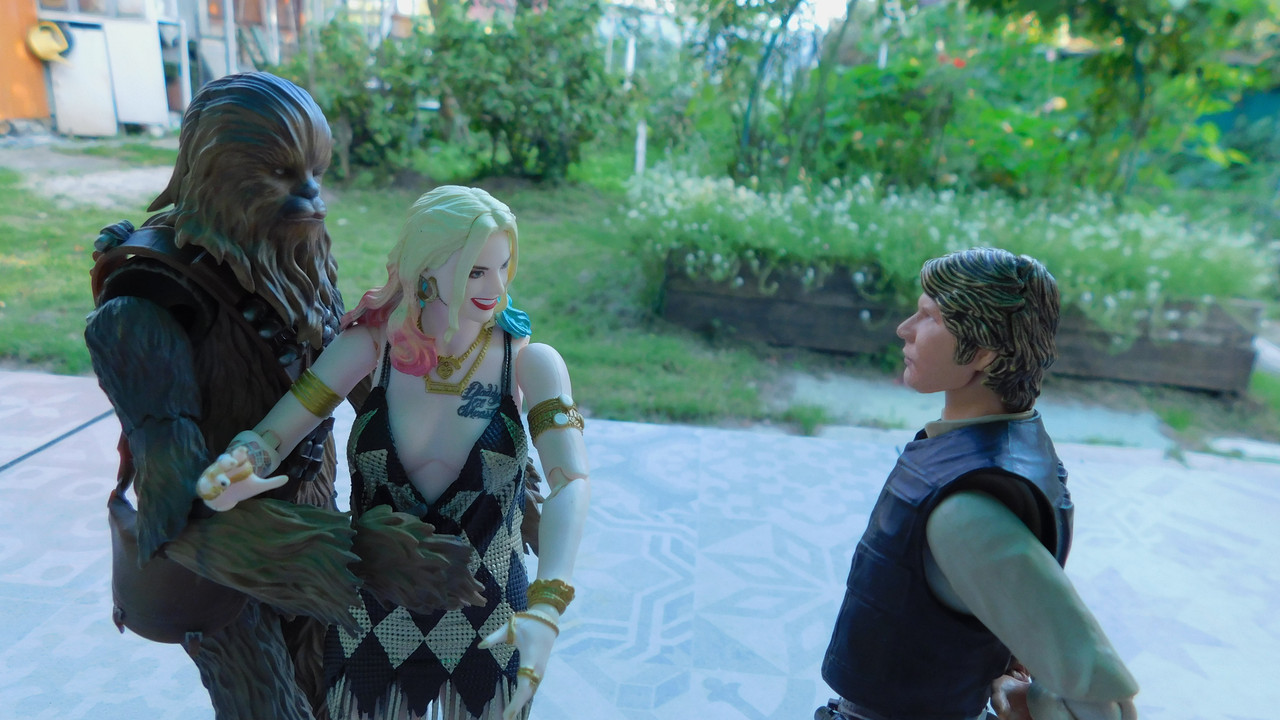 Дачно-барбейское июль, Харлинское 2-я серия 219